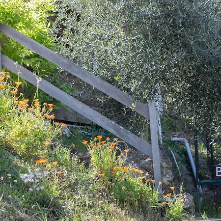 Pretty In Greenery Ecrin Le Rouret